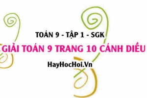 Giải Toán 9 trang 10 tập 1 Cánh Diều SGK